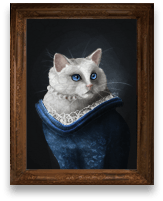 Cat 4